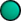 albis_key_green